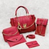 Leather Plain Handbag – 5 Pcs Set (Red)
